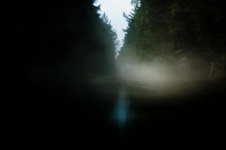 Янина Болдырева – Бортовой журнал 32