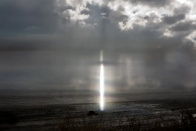 Янина Болдырева – Бортовой журнал 34