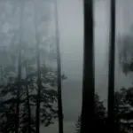 Янина Болдырева – Бортовой журнал 36