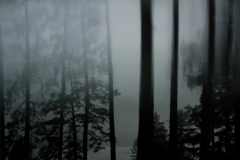 Янина Болдырева – Бортовой журнал 36