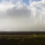 Янина Болдырева – Бортовой журнал 37