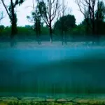 Янина Болдырева – Бортовой журнал 38