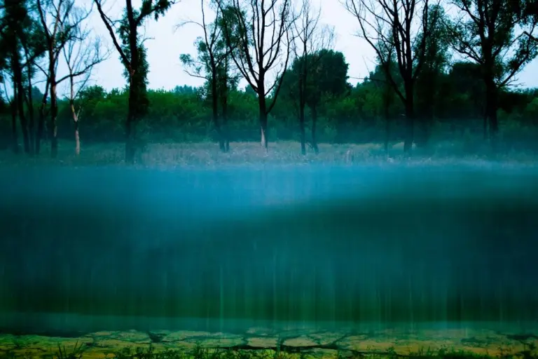 Янина Болдырева – Бортовой журнал 38