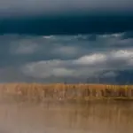 Янина Болдырева – Бортовой журнал 6