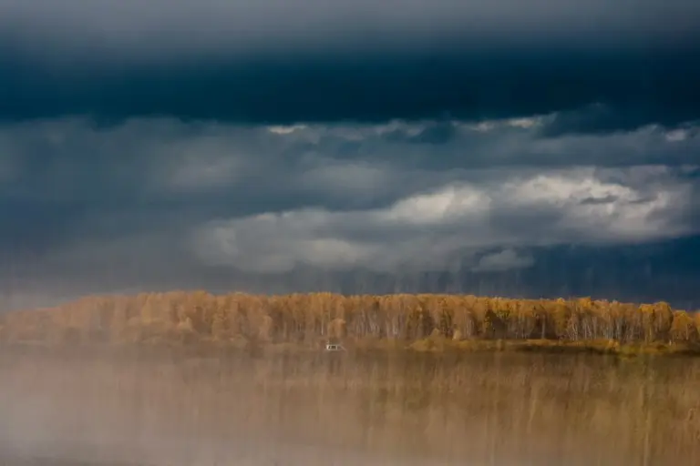 Янина Болдырева – Бортовой журнал 6