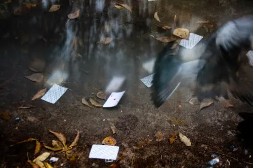 Янина Болдырева – Доискиваясь 11