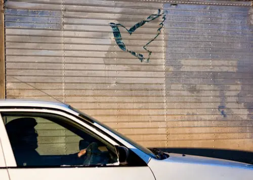 Янина Болдырева – Доискиваясь 12