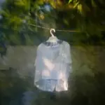 Янина Болдырева – Доискиваясь 13