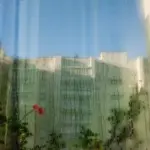 Янина Болдырева – Доискиваясь 18