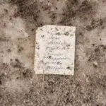 Янина Болдырева – Доискиваясь 21