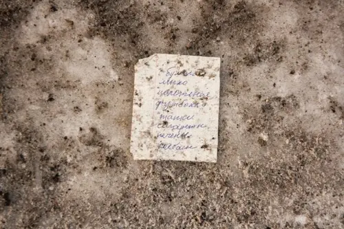 Янина Болдырева – Доискиваясь 21