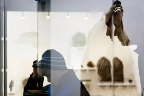 Янина Болдырева – Доискиваясь 23