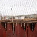 Янина Болдырева – Доискиваясь 31