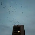 Янина Болдырева – Доискиваясь 36