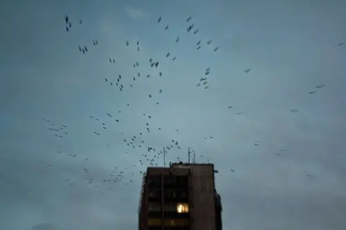 Янина Болдырева – Доискиваясь 36