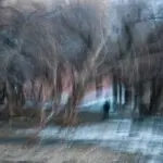 Янина Болдырева – Доискиваясь 37