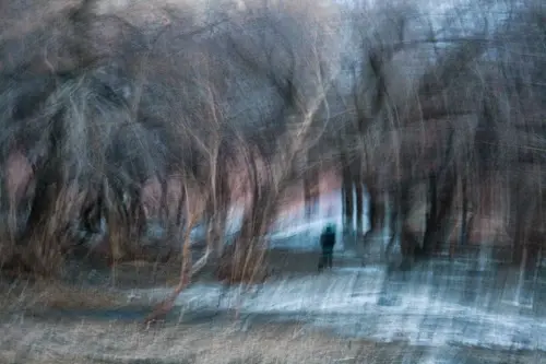 Янина Болдырева – Доискиваясь 37