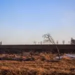 Янина Болдырева – Доискиваясь 38