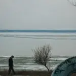 Янина Болдырева – Доискиваясь 8