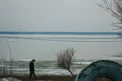 Янина Болдырева – Доискиваясь 8