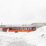 Янина Болдырева – На всём белом 1