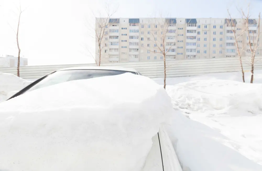 На всём белом 11 Янина Болдырева – На всём белом 11