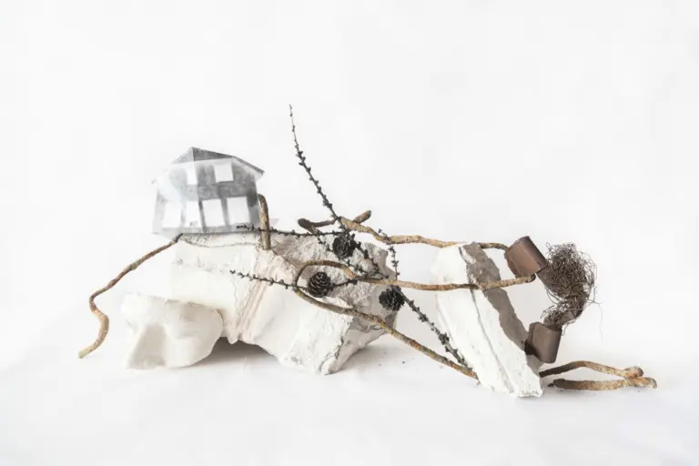 Янина Болдырева – На всём белом 12