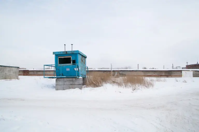 Янина Болдырева – На всём белом 16