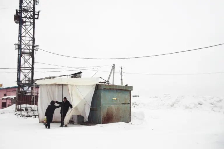 Янина Болдырева – На всём белом 17