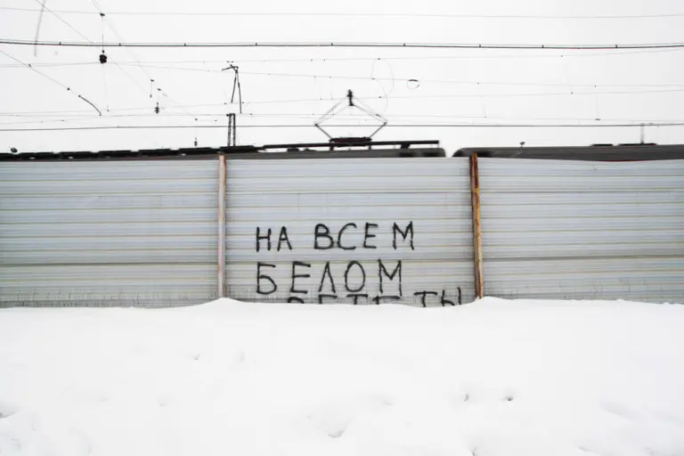 Янина Болдырева – На всём белом 19