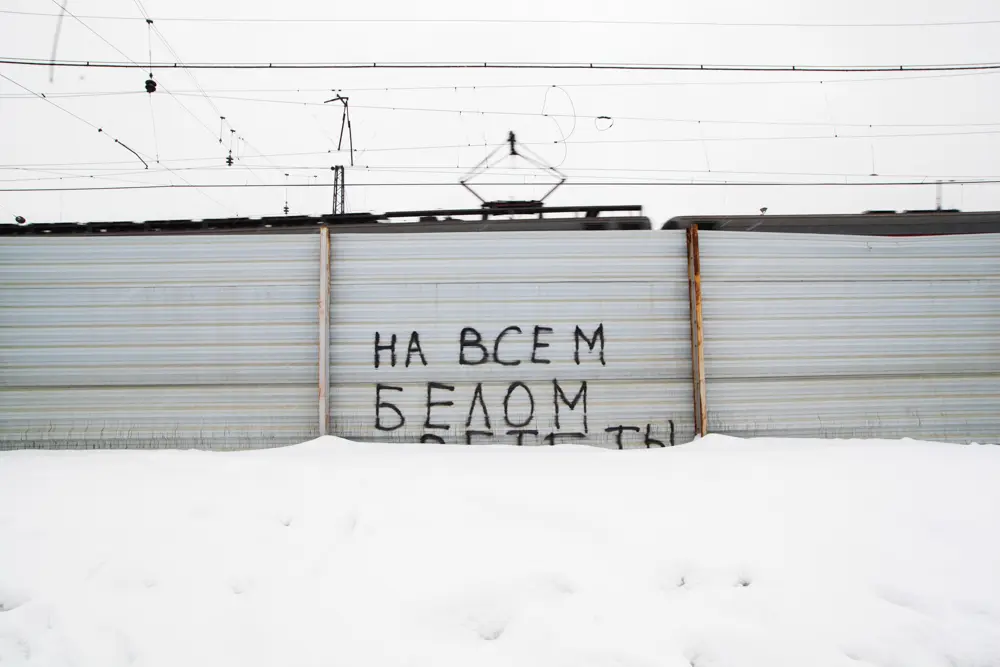 Янина Болдырева – На всём белом 19