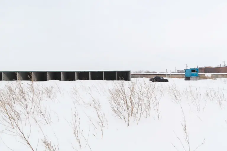 Янина Болдырева – На всём белом 21