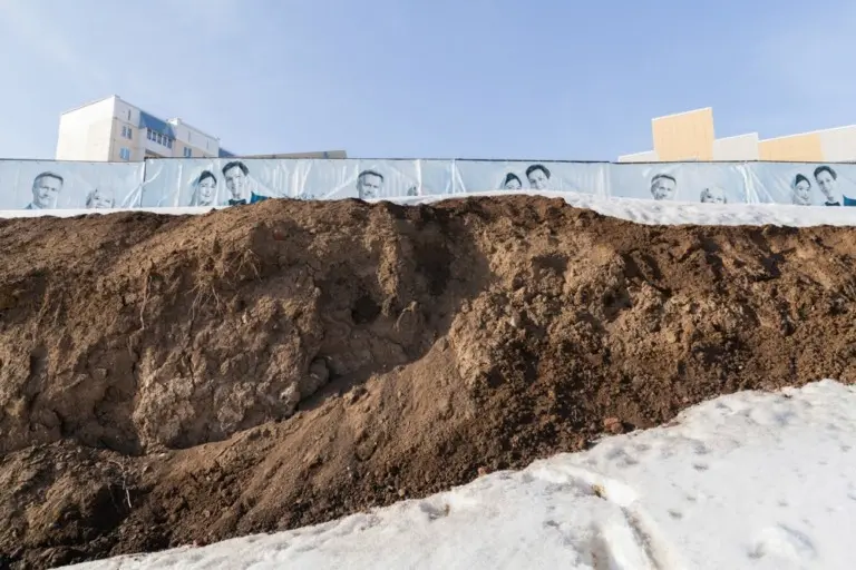 Янина Болдырева – На всём белом 22