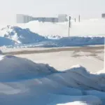 Янина Болдырева – На всём белом 23