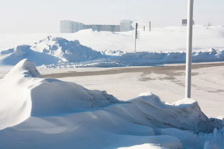 Янина Болдырева – На всём белом 23