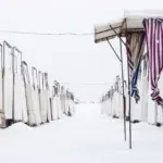 Янина Болдырева – На всём белом 28