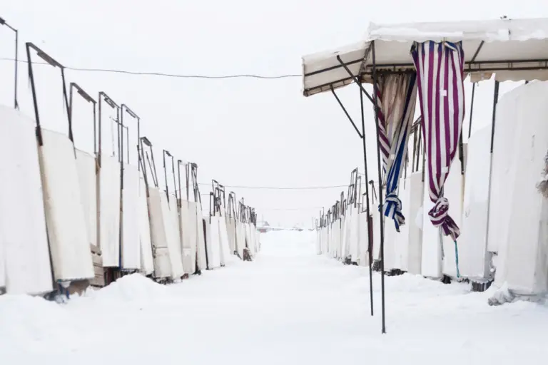 Янина Болдырева – На всём белом 28