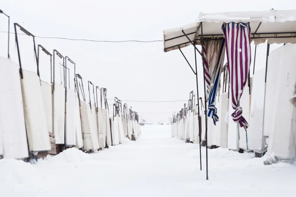 На всём белом 28 Янина Болдырева – На всём белом 28