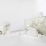 Янина Болдырева – На всём белом 4