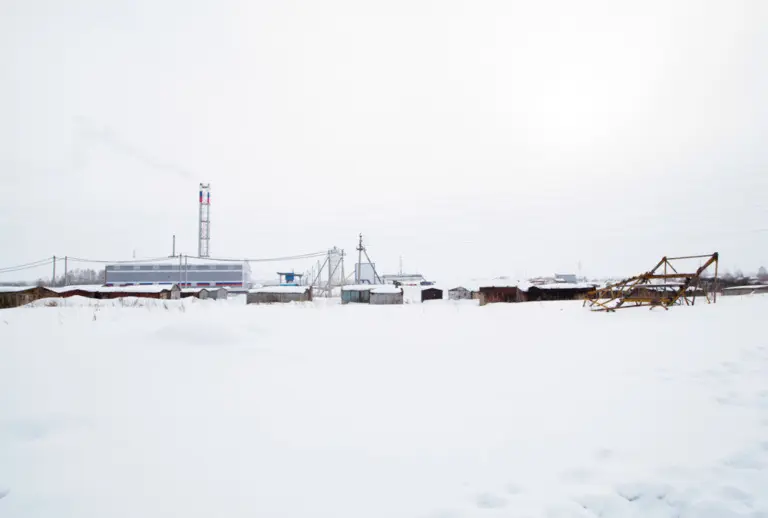 Янина Болдырева – На всём белом 6