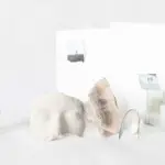 Янина Болдырева – На всём белом 7