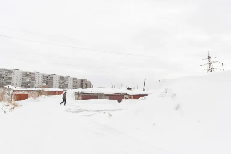 Янина Болдырева – На всём белом 9