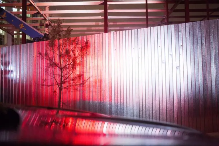 Янина Болдырева – Ночь 10