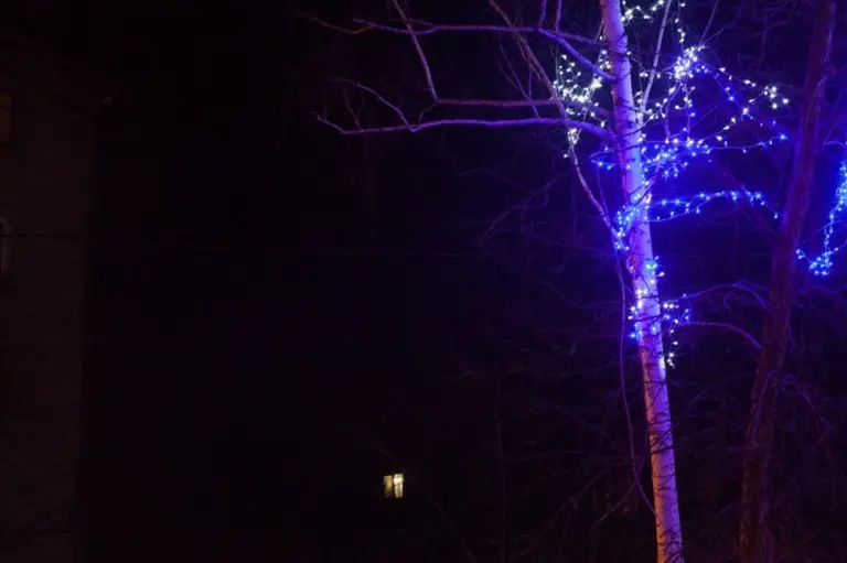 Янина Болдырева – Ночь 14