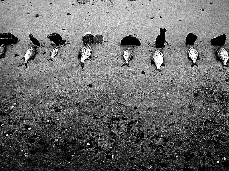 Нонсенс 1 Янина Болдырева – Нонсенс 1