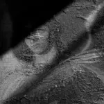 Янина Болдырева – Нонсенс 11