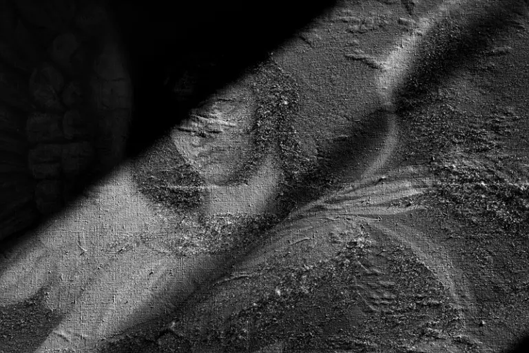 Янина Болдырева – Нонсенс 11