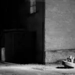 Янина Болдырева – Нонсенс 12