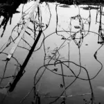 Янина Болдырева – Нонсенс 16