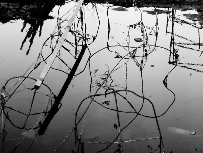 Янина Болдырева – Нонсенс 16